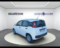 Auto Usate A Ancona | Fiat Panda 1.2 Easy