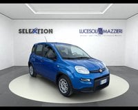 Auto Km0 A Ancona | Fiat Panda My24 1.0 70Cv Hybrid Panda