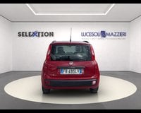Auto Usate A Ancona | Fiat Panda 1.2 Easy
