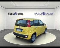 Auto Usate A Ancona | Fiat Pandina 1.0 Firefly 65 Cv Hybrid Pop