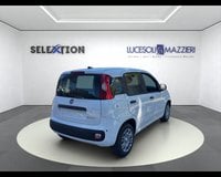 Auto Km0 A Ancona | Fiat Pandina My26 1.0 65Cv Hybrid Icon