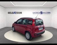 Auto Usate A Ancona | Fiat Panda 1.2 Easy