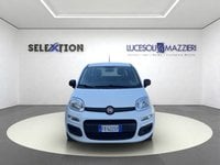 Auto Usate A Ancona | Fiat Panda 1.2 Easy