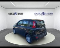 Auto Usate A Ancona | Lancia Ypsilon 3ª Serie 1.2 69 Cv 5 Porte Gpl Ecochic