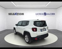 Auto Usate A Ancona | Jeep Renegade Renagade 1.6 Mjt 130 Cv Business