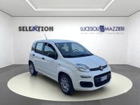 Auto Usate A Ancona | Fiat Panda 1.2 Easy