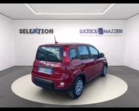 Auto Km0 A Ancona | Fiat Panda My24 1.0 70Cv Hybrid Panda