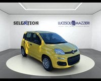 Auto Km0 A Ancona | Fiat Pandina My26 1.0 65Cv Hybrid Pop