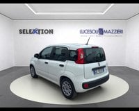 Auto Usate A Ancona | Fiat Panda 1.0 Firefly S&S Hybrid