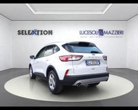 Auto Usate A Ancona | Ford Kuga 3ª Serie 1.5 Ecoblue 120 Cv 2Wd Connect