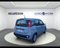 Auto Usate A Ancona | Fiat Panda 3ª Serie 1.0 Firefly S&S Hybrid Easy