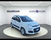 Auto Usate A Ancona | Fiat Panda 1.0 Firefly S&S Hybrid Easy