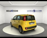 Auto Usate A Ancona | Fiat Pandina 1.0 Firefly 65 Cv Hybrid Pop