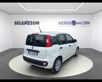 Auto Usate A Ancona | Fiat Panda 1.0 Firefly S&S Hybrid