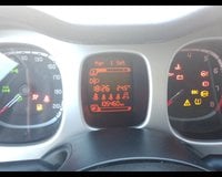 Auto Usate A Ancona | Fiat Panda Cross 0.9 Twinair Turbo S&S 4X4