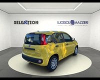 Auto Km0 A Ancona | Fiat Pandina My26 1.0 65Cv Hybrid Pop