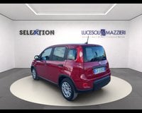 Auto Km0 A Ancona | Fiat Panda My24 1.0 70Cv Hybrid Panda
