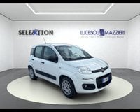 Auto Usate A Ancona | Fiat Panda 3ª Serie 1.2 Easy