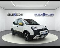 Auto Usate A Ancona | Fiat Panda Cross 1.0 Firefly S&S Hybrid