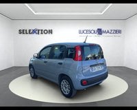 Auto Usate A Ancona | Fiat Panda 3ª Serie 1.0 Firefly S&S Hybrid Easy
