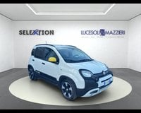 Auto Usate A Ancona | Fiat Panda 1.0 Firefly S&S Hybrid City Cross
