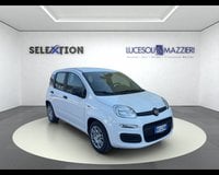 Auto Usate A Ancona | Fiat Pandina 1.0 Firefly 65 Cv Hybrid Icon