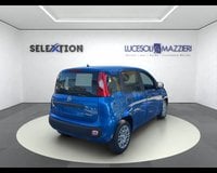 Auto Km0 A Ancona | Fiat Pandina My26 1.0 65Cv Hybrid Pop