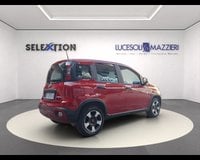 Auto Usate A Ancona | Fiat Panda 1.0 Firefly S&S Hybrid City Cross