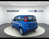 Auto Km0 A Ancona | Fiat Pandina My26 1.0 65Cv Hybrid Pop