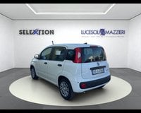 Auto Usate A Ancona | Fiat Pandina 1.0 Firefly 65 Cv Hybrid Icon