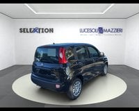 Auto Usate A Ancona | Lancia Ypsilon 3ª Serie 1.2 69 Cv 5 Porte Gpl Ecochic