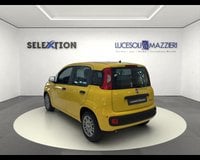 Auto Km0 A Ancona | Fiat Pandina My26 1.0 65Cv Hybrid Pop