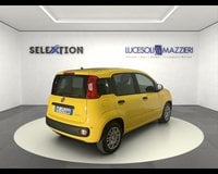Auto Usate A Ancona | Fiat Pandina 1.0 Firefly 65 Cv Hybrid Pop