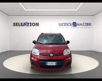 Auto Usate A Ancona | Fiat Panda 1.2 Easy