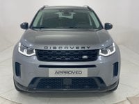 Land Rover Discovery Sport Diesel/Elettrica 2.0 D4M 163cv AWD AUTO SE Km 0 in provincia di Rimini - Vernocchi Rimini img-1