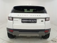 Land Rover RR Evoque Diesel Range Rover Evoque 2.0 td4 SE 180cv 5p auto Usata in provincia di Rimini - Vernocchi Rimini img-4