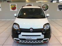 Auto Fiat Panda Cross 1.0 Cross My24 Hybrid Promo Maggio Nuove Pronta Consegna A Verona