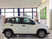 Auto Fiat Panda 1.0 Firefly S&S Hybrid Promo Maggio Nuove Pronta Consegna A Verona