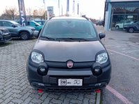 Auto Fiat Panda 1.0 Firefly S&S Hybrid City Cross Usate A Bologna