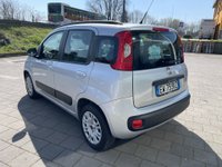 Auto Fiat Panda Panda 1.2 Easy Unico Proprietario - Cinghia Distribuzione Fatta Usate A Pavia