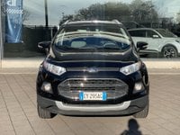 Auto Ford Ecosport 1.5 Tdci 90 Cv Business Usate A Pavia