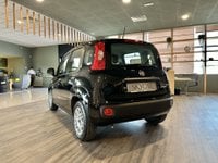 Auto Fiat Panda 1.0 Firefly S&S Hybrid Usate A Perugia