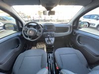 FIAT Panda Benzina/GPL 1.2 EasyPower Km 0 in provincia di Verona - F.lli Compri Autovetture Srl img-4