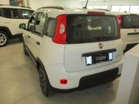 FIAT Panda Ibrida 1.0 FireFly S&S Hybrid City Life Usata in provincia di Verona - F.lli Compri Autovetture Srl img-1
