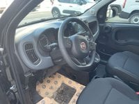 FIAT Panda Benzina/GPL 1.2 EasyPower Km 0 in provincia di Verona - F.lli Compri Autovetture Srl img-5