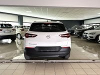 Auto Opel Grandland 1.5 Diesel Ecotec Aut. Innovation Usate A Ferrara
