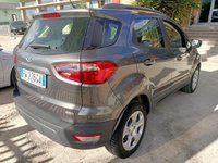 Auto Ford Ecosport 1.5 Ecoblue Business S&S 100Cv My19 Usate A Firenze
