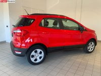 Auto Ford Ecosport 1.0 Ecoboost 125 Cv Start&Stop Aut. Plus Usate A Varese