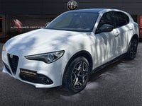 Auto Usate A Pescara | Alfa Romeo Stelvio 2020 2.2 T Ti Q4 210Cv Auto