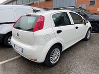 Auto Fiat Punto 1.2 8V 5 Porte Street Usate A Rimini